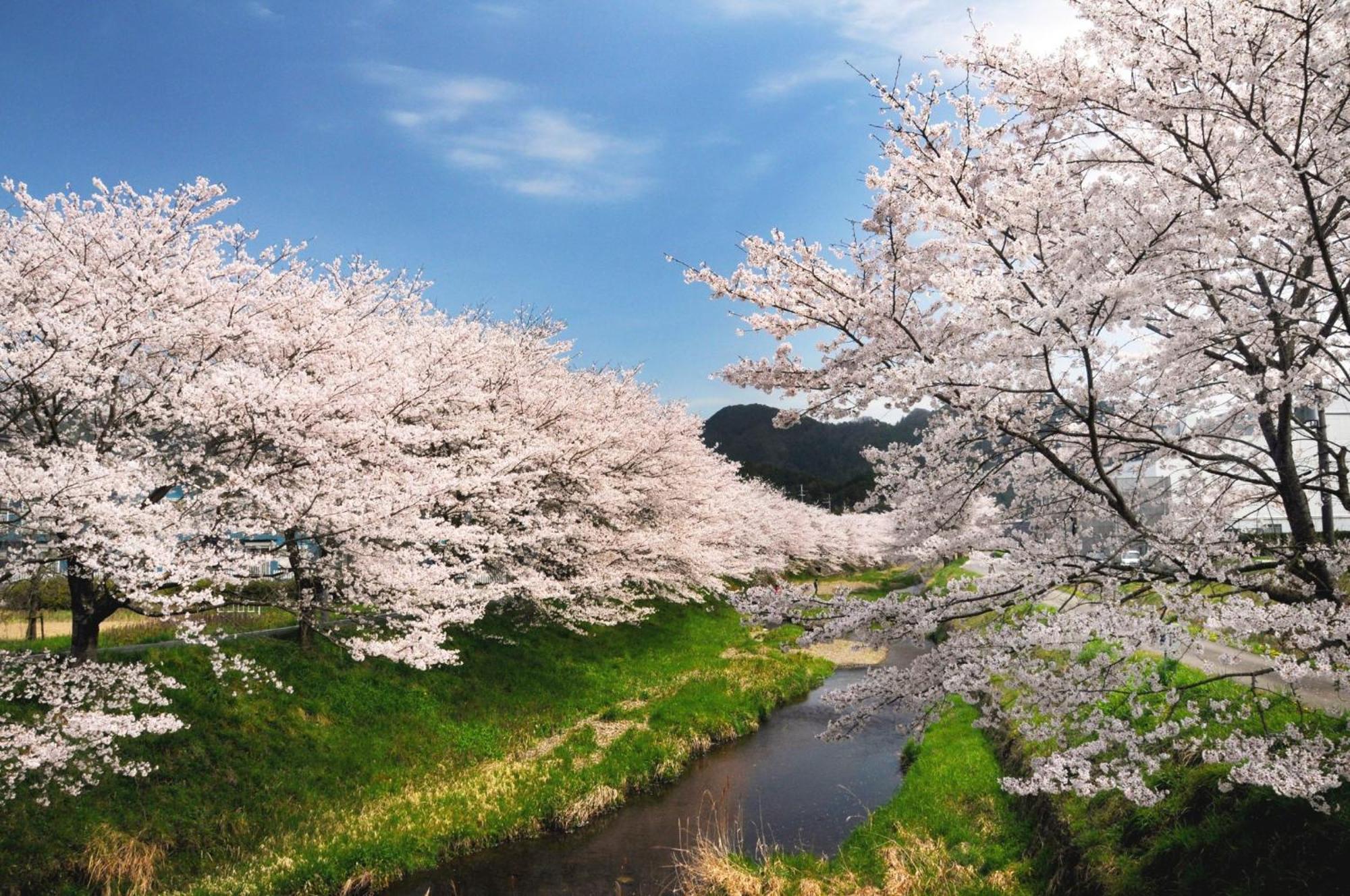 Satoyama Hotel Kanenone Tamba Maibara Dış mekan fotoğraf