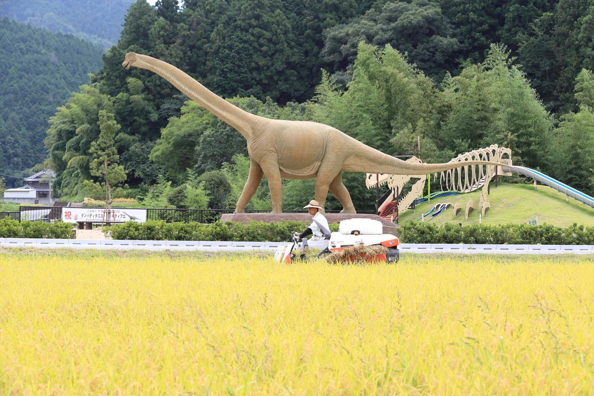 Satoyama Hotel Kanenone Tamba Maibara Dış mekan fotoğraf