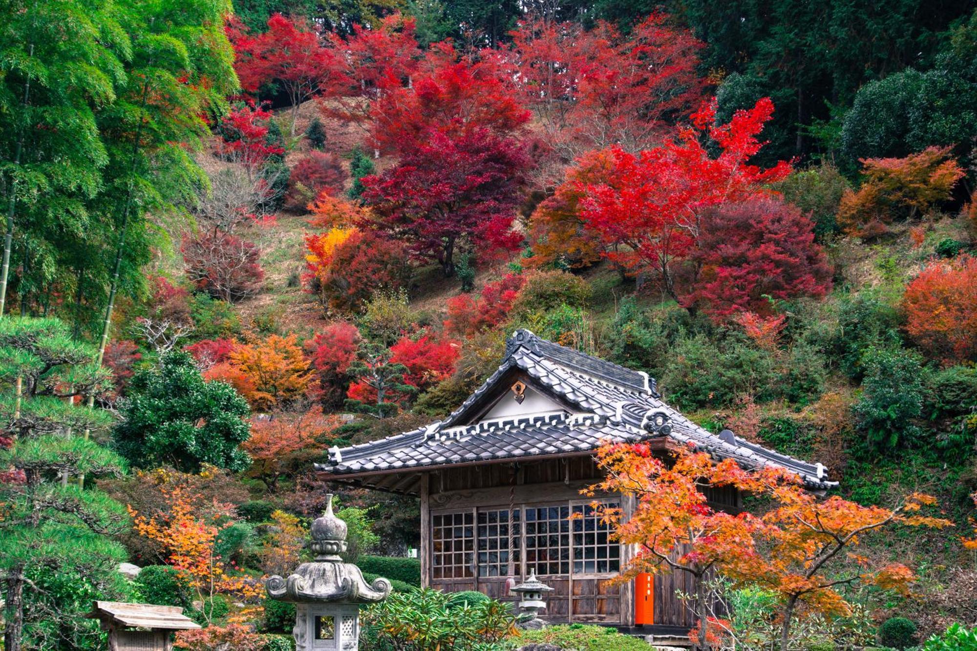 Satoyama Hotel Kanenone Tamba Maibara Dış mekan fotoğraf