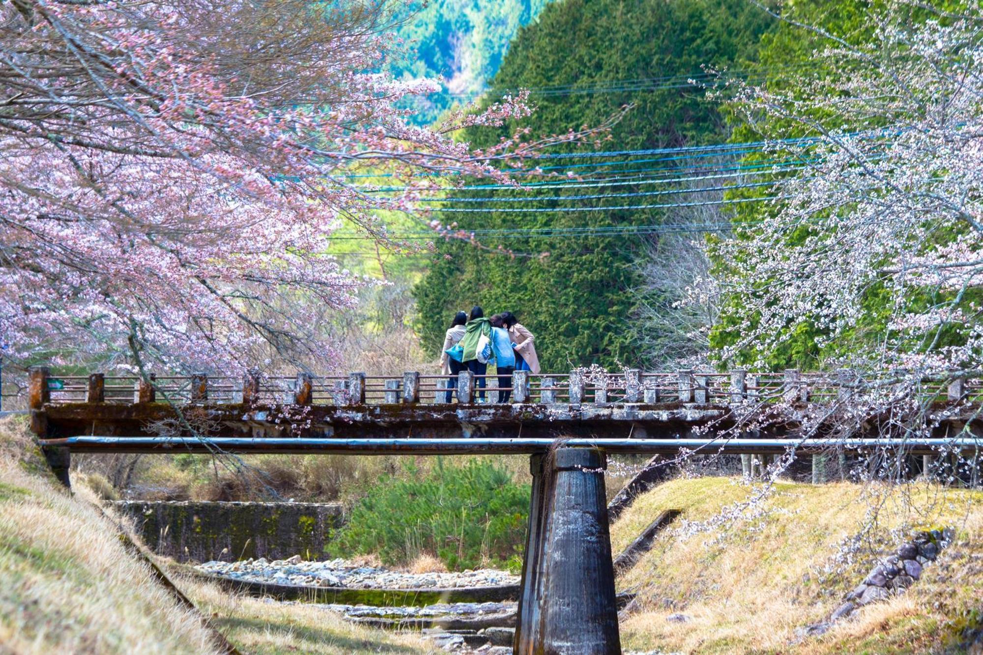 Satoyama Hotel Kanenone Tamba Maibara Dış mekan fotoğraf