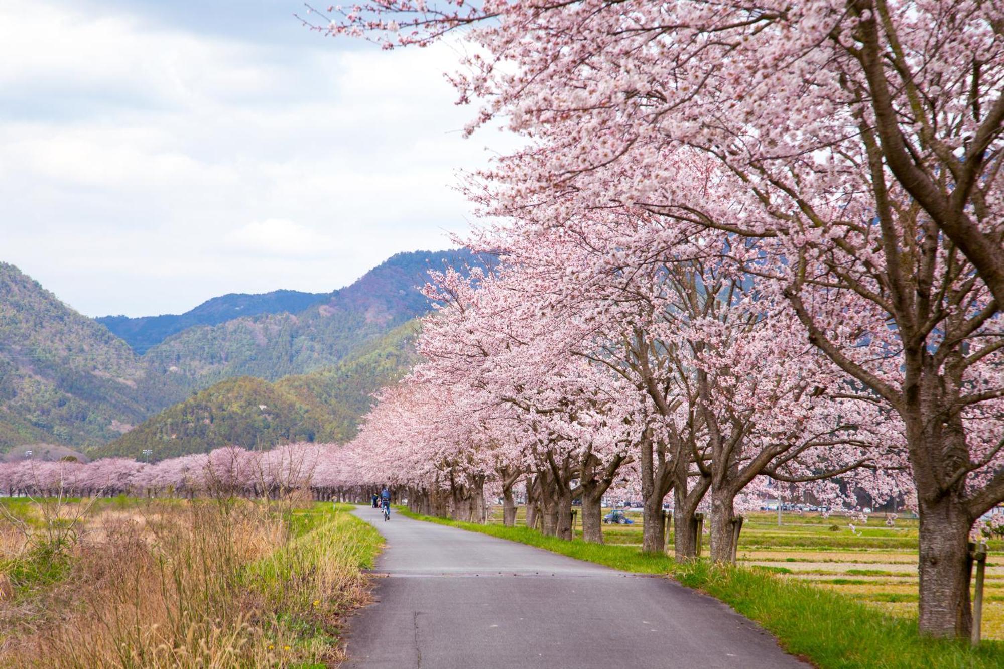 Satoyama Hotel Kanenone Tamba Maibara Dış mekan fotoğraf