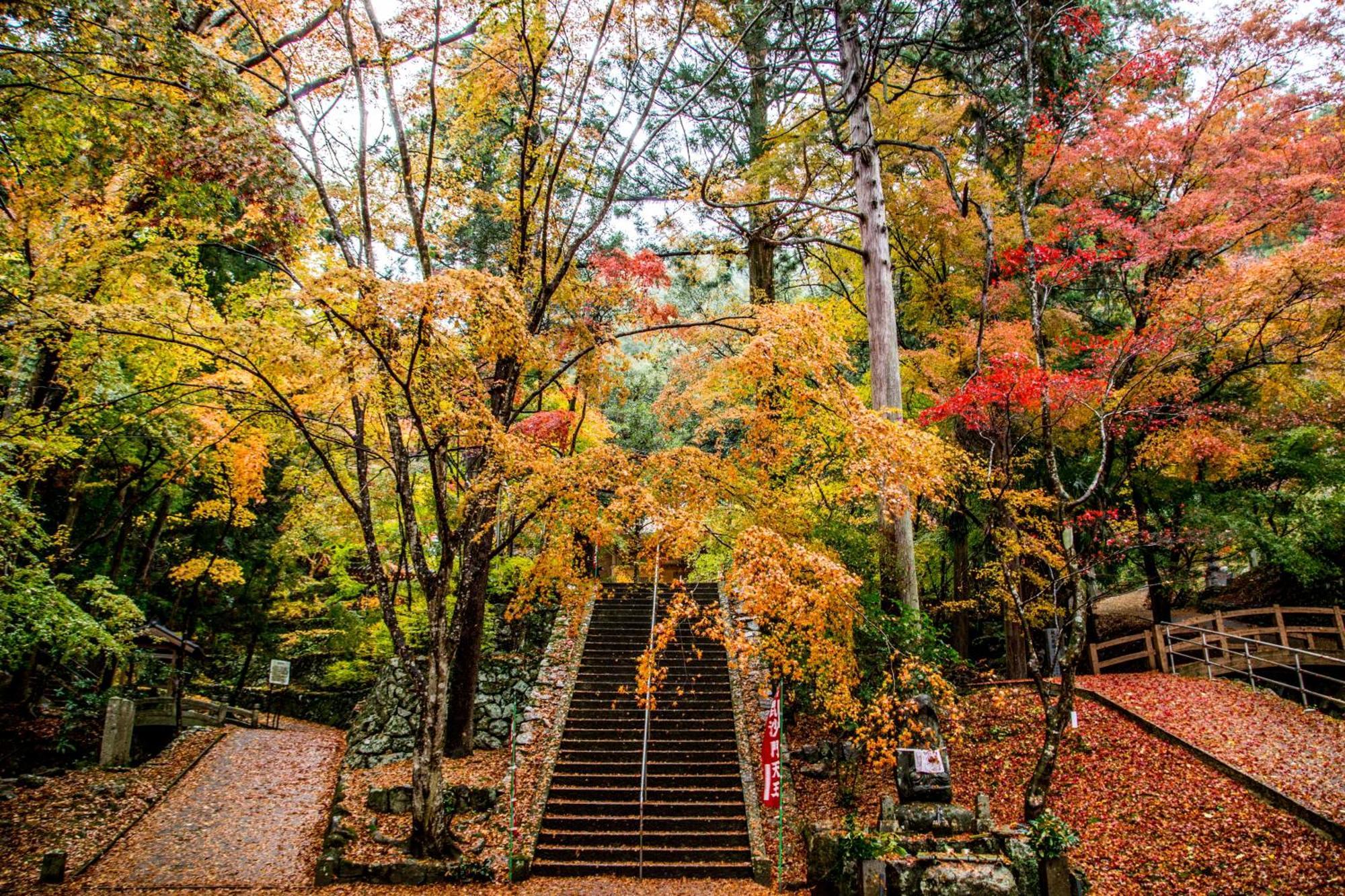 Satoyama Hotel Kanenone Tamba Maibara Dış mekan fotoğraf